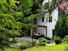 Mountain Chalet - Cabana la Muntele Baisorii
